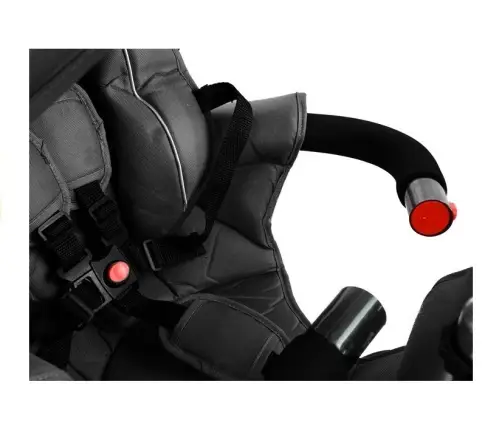Tricycle Bike PRO700 - Black