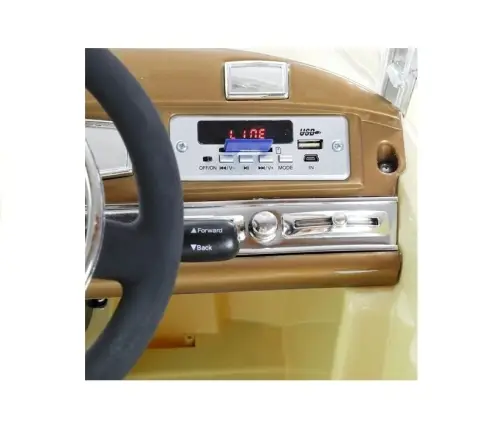 Vienvietīgs elektromobilis LS-618 Mercedes 300S Black Painting