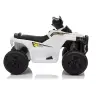 Электрический квадроцикл для детей XH116 White