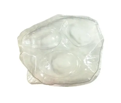 Prehistory Creative Set Create Amber Insects