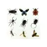 Prehistory Creative Set Create Amber Insects