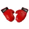 Boxing set, bag, gloves, belt