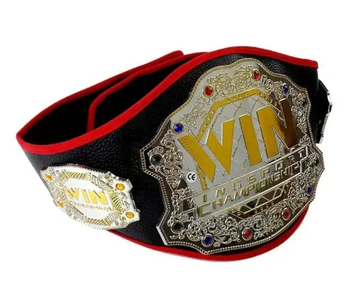 Boxing set, bag, gloves, belt