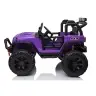 Divvietīgs bērnu elektromobilis JC666 Violet