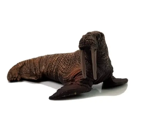 Figurki Edukacyjne Morskie Zwierzęta 8 Elementów Rekiny Foka Delfin Mors Żółw