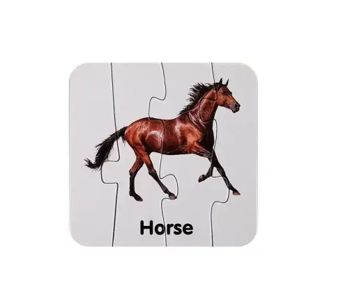 Educational Puzzle Wild Animals Puzzle 10 English Connections