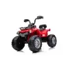 Elektriskais kvadracikls bērniem Quad Madman JS009 Red