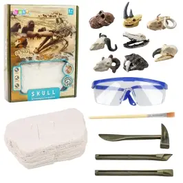 Archaeology Excavation Set Skulls Bones Tools Accessories