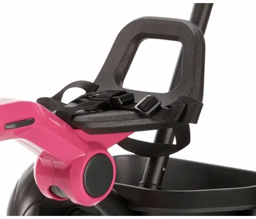 Bērnu trīsritenis Qplay Ant Plus Rose