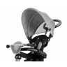 Bērnu trīsritenis Qplay Cosy Grey