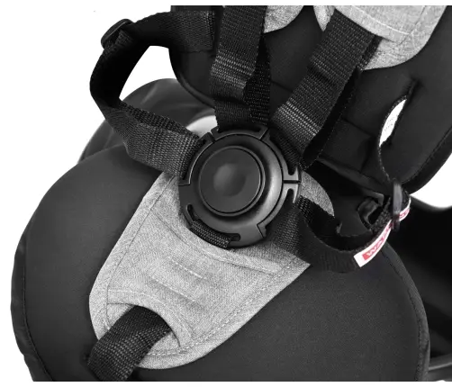 Bērnu trīsritenis Qplay Cosy Grey