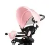 Bērnu trīsritenis Qplay Cosy Pink 4in1 Bērnu trīsritenis Qplay Cosy Pink 4in1