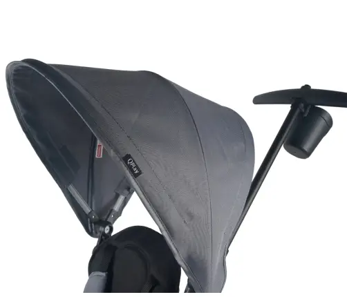 Qplay Rowerek Trójkołowy Elite Platinum Grey