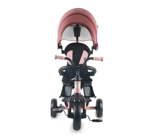 Qplay Rowerek Trójkołowy Elite Platinum Pink