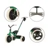Bērnu trīsritenis Qplay Elite Pro Green