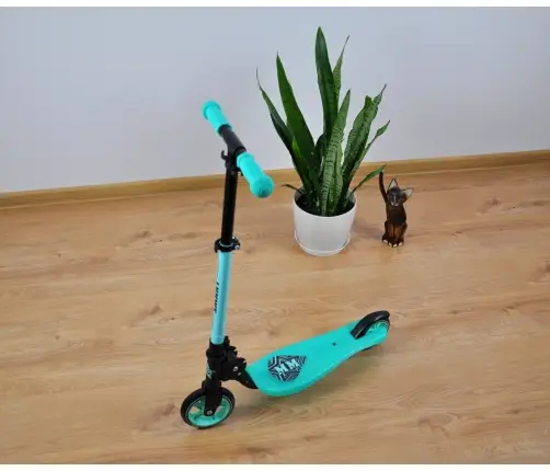 Skrejritenis Milly Mally Smart Blue