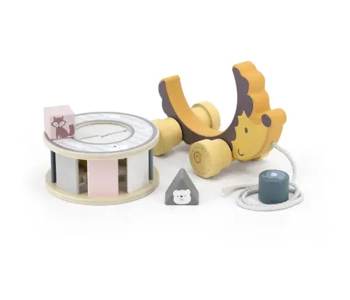 Viga 44025 PolarB Jeż Jerzy 2w1 sorter do ciagnięcia