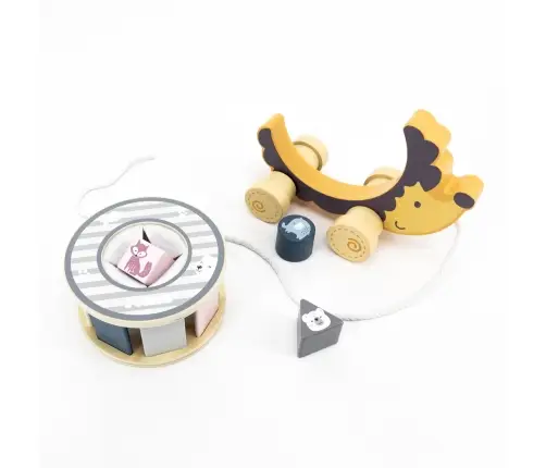 Viga 44025 PolarB Jeż Jerzy 2w1 sorter do ciagnięcia