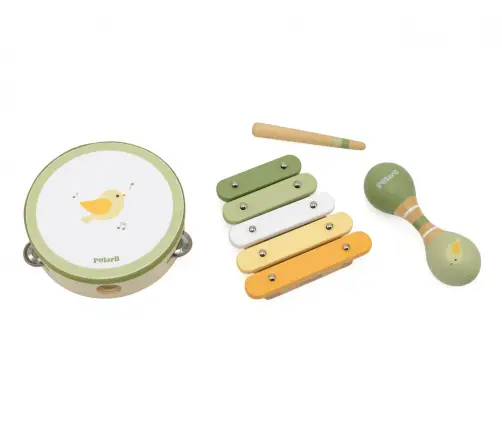 Viga 44213 PolarB Zestaw muzyczny - Ptak