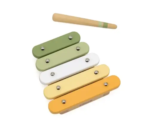 Viga 44213 PolarB Zestaw muzyczny - Ptak