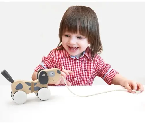 Viga 51614 Pull-Along Puppy
