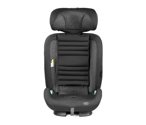 Peg Perego VIAGGIO TT  Planet  Bērnu autosēdeklis 9-36 kg