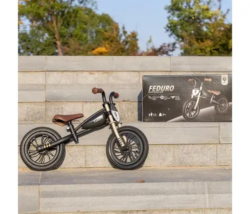 Balance bike QPlay Feduro Gold-Black