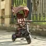 Tricycle Qplay Rito Deluxe Brown