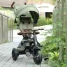 Tricycle Qplay Rito Deluxe Olive-Green