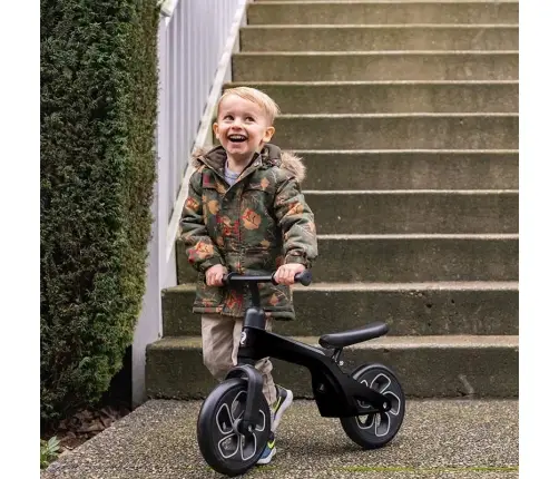 Balance bike Qplay Tech Black