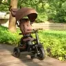 Tricycle Qplay Rito Deluxe Brown
