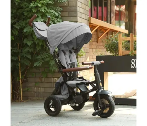 Tricycle Qplay Rito Deluxe Grey