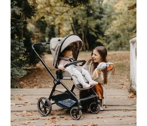 Travel system 2in1 Coccolle Lissia Moss green