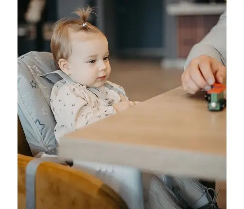 Coccolle  Ziti Grey Stars Barošanas krēsls