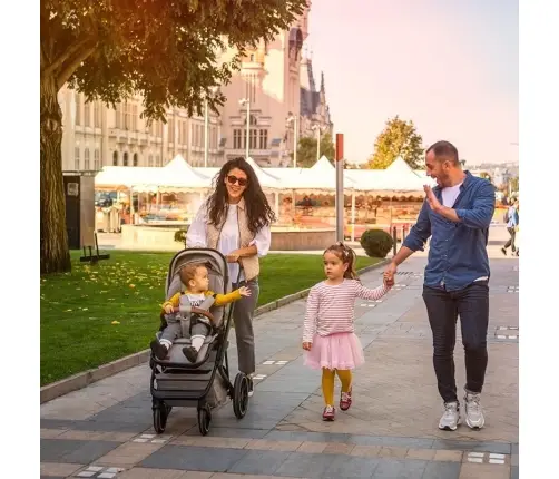 Coccolle Nessia Lunar rock Детская Коляска 2в1