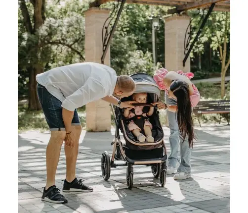 Convertible travel system 3in1 Coccolle  Melora Diamond black