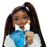 Barbie Dream Besties - Brooklyn lelle HYC22