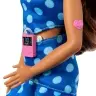 Barbie Fashionistas Doll - Blue Polka Dot HYT97