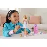 Barbie Travel Doll - Refreshed HJY18