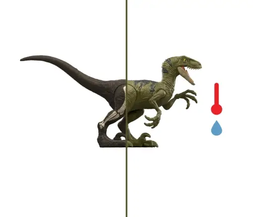 JW Dino Reveal Asst JDC52