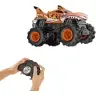 Hot Wheels Monster Trucks 1:24 Tiger Shark HNV03