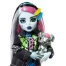Monster High lelle - Frankie HXH73