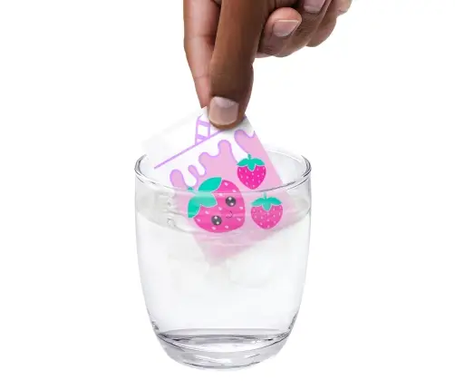 Polly Pocket Closet Cuties Asst HRD64