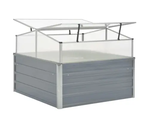 Kasvuhoone 100 X 100 X 85 cm Tsingitud Teras, Hall