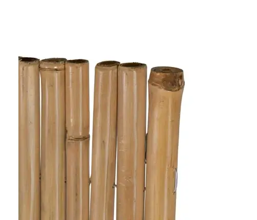 Bambukinė Tvora, 180X170Cm