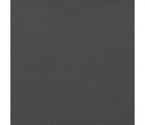 Saulessargs, 2X2 M, Kvadrāts, Antracītpelēks Audums Vidaxl