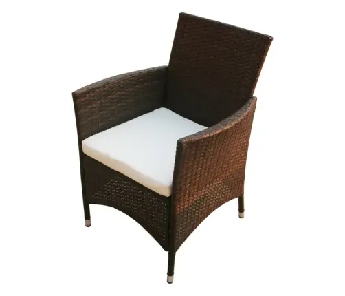 Lauko Valg. Baldų Komplekt. Su Pagalv., 5D., Rudas, Polirat.