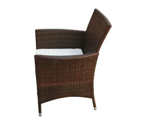 Lauko Valg. Baldų Komplekt. Su Pagalv., 5D., Rudas, Polirat.