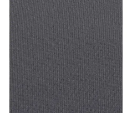 Dārza Sola Matracis, 100X50X4 Cm, Audums, Antracītpelēks Vidaxl