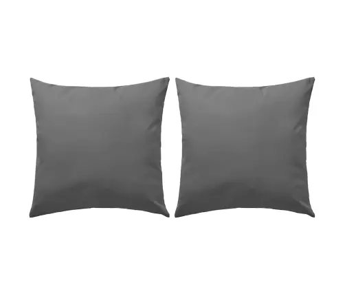 Aiapadjad 2 Tk, 45 X 45 cm Hall